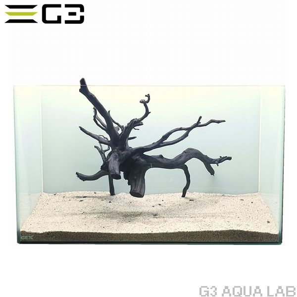 No,304 �֥�å��֥������åɡ��̥�����  [ambw304]