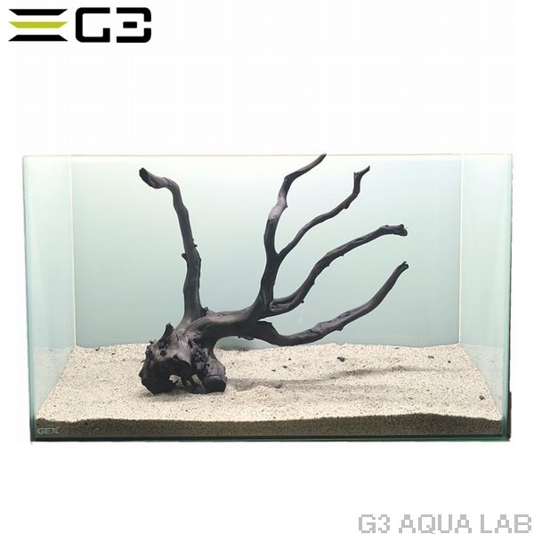 No,305 �֥�å��֥������åɡ��̥�����  [ambw305]