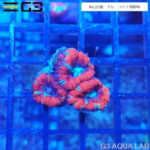���������ȥ������ᥤ������åɡ�No,610b��