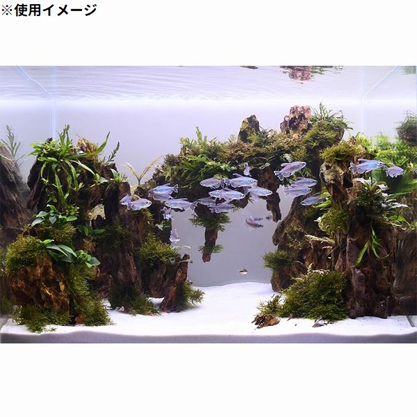 Make up Sand�ʲ��Ѻ���Snow��2kg[4971664056114]