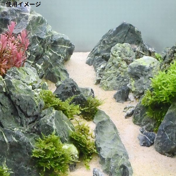 Make up Sand�ʲ��Ѻ���River & Snow��5kg2��[4971664055124]