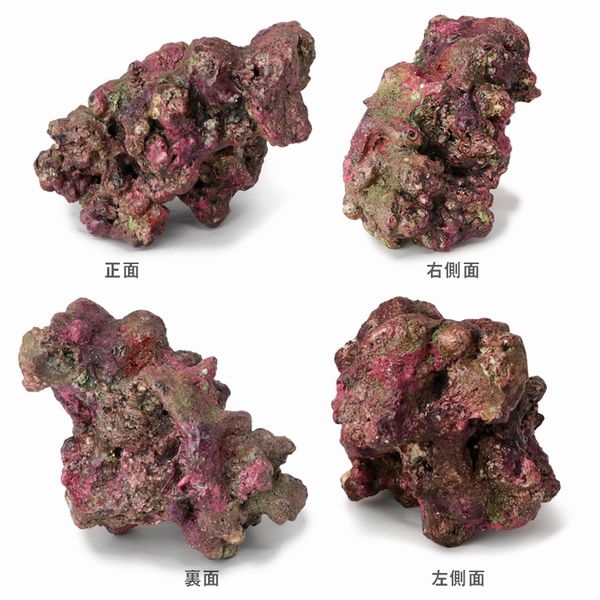 �ߥ˥饤�֥��å���ץꥫ��A33��[4540103650680]