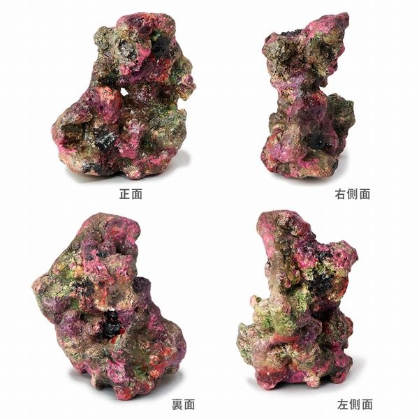 �ߥ˥饤�֥��å���ץꥫ��B34��[4540103650697]