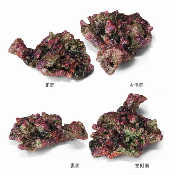 �ߥ˥饤�֥��å���ץꥫ��D43��[4540103650710]