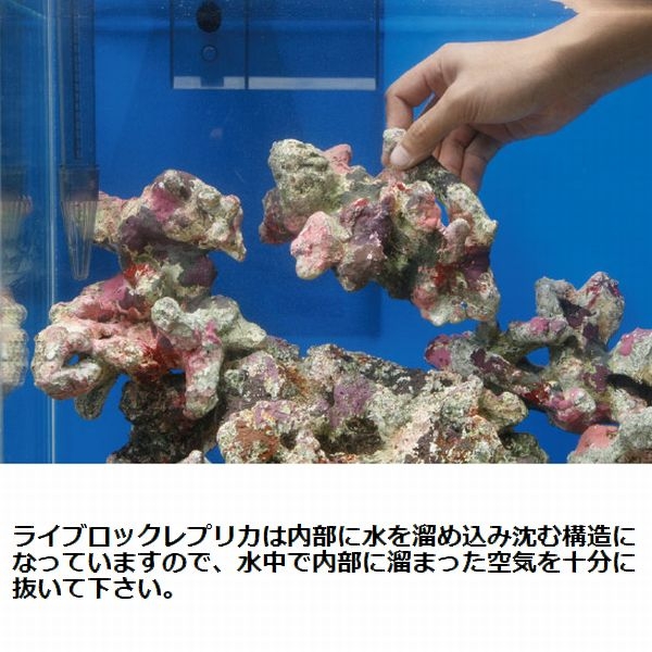 �ߥ˥饤�֥��å���ץꥫ��D43��[4540103650710]