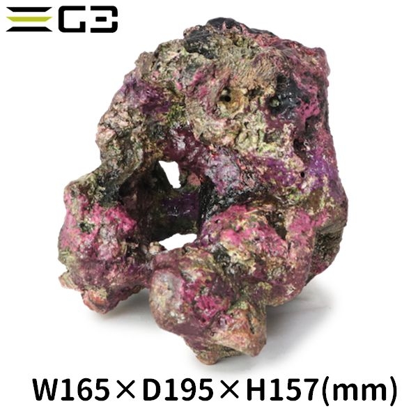 �ߥ˥饤�֥��å���ץꥫ��C35��[4540103650703]