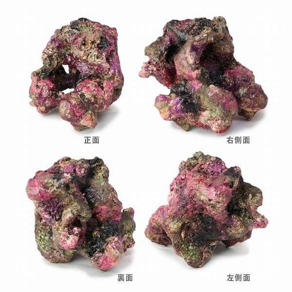 �ߥ˥饤�֥��å���ץꥫ��C35��[4540103650703]