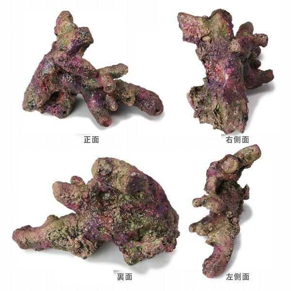 �ߥ˥饤�֥��å���ץꥫ��G47��[4540103650741]