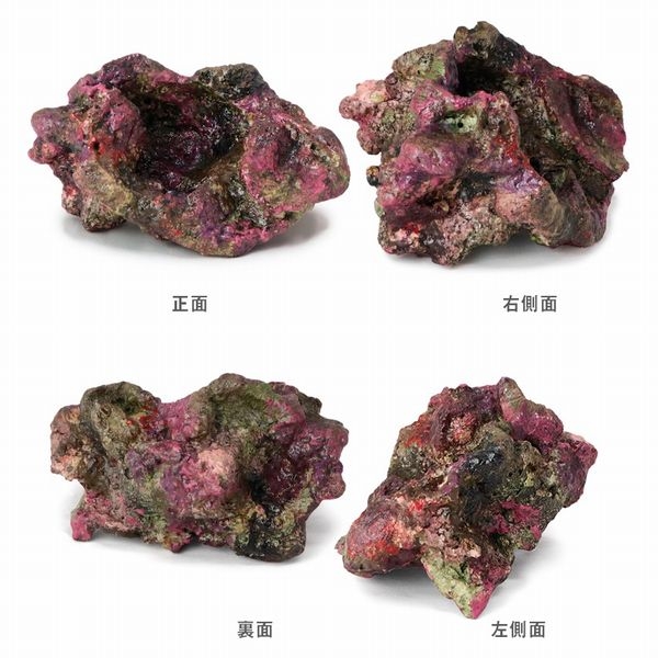 �ߥ˥饤�֥��å���ץꥫ��H53��[4540103650758]