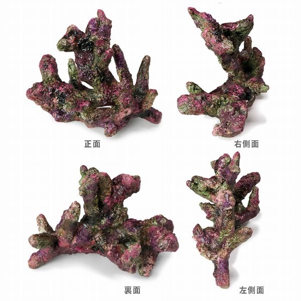 �ߥ˥饤�֥��å���ץꥫ��E43��[4540103650727]