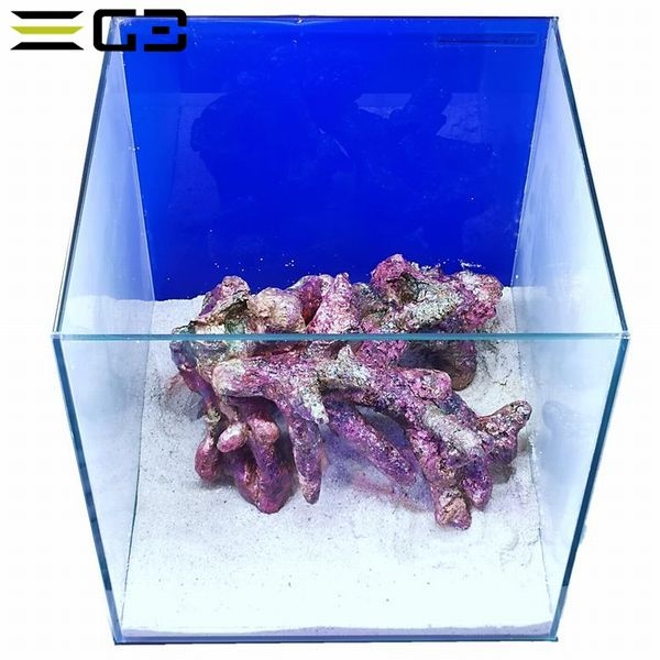 30cm���塼�ֿ����� �쥤�����ȥ��å� ��ƶ���쥤�����ȥ��åȡ�