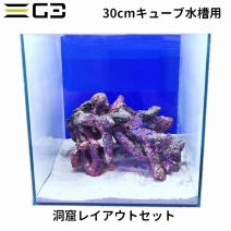 30cm���塼�ֿ����� �쥤�����ȥ��å� ��ƶ���쥤�����ȥ��åȡ�