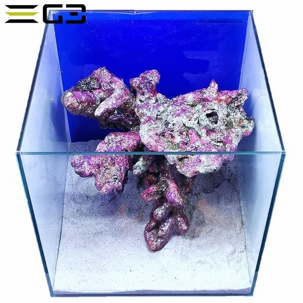 30cm���塼�ֿ����� �쥤�����ȥ��å� �֥ĥ꡼�쥤�����ȥ��åȡ�