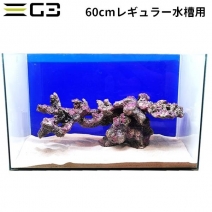 60cm�쥮��顼����쥤�����ȥ��å� ����ͷ�ϥ쥤�����ȥ��åȡ�