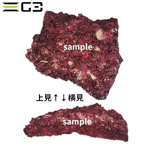 人工ライブロック Real Reef Rock シェルフ Mサイズ 1枚