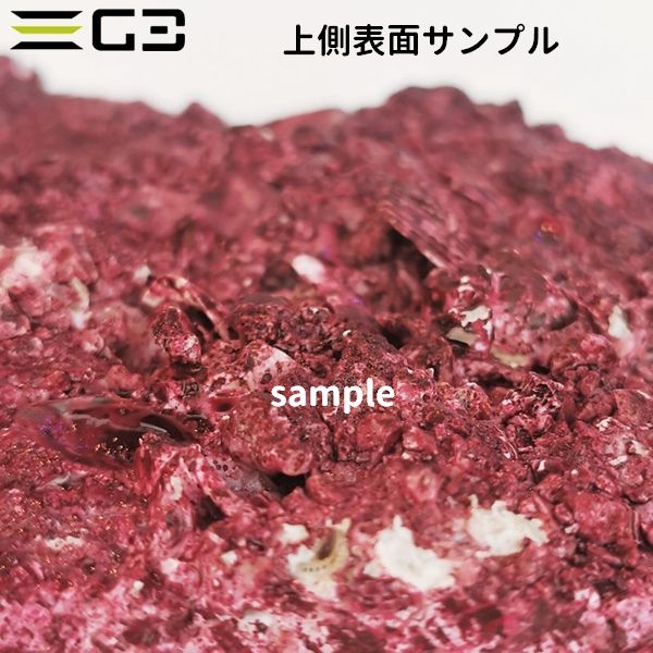 人工ライブロック Real Reef Rock シェルフ Mサイズ 1枚