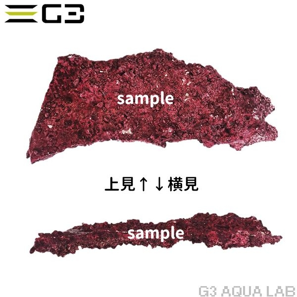 人工ライブロック Real Reef Rock シェルフ Lサイズ 1枚