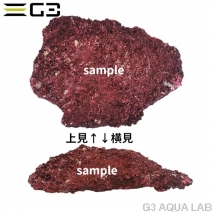 �͹��饤�֥��å� Real Reef Rock ������� L������  1��