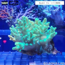 �ʥ��饫���ȥ������ָ����꡼�󡡡�No,613��