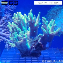 �ʥ��饫���ȥ������ָ����꡼�󡡡�No,614��