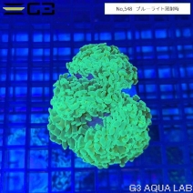 �ʥ���ϥʥ��󥴡����饤�ȥ���������No,548��