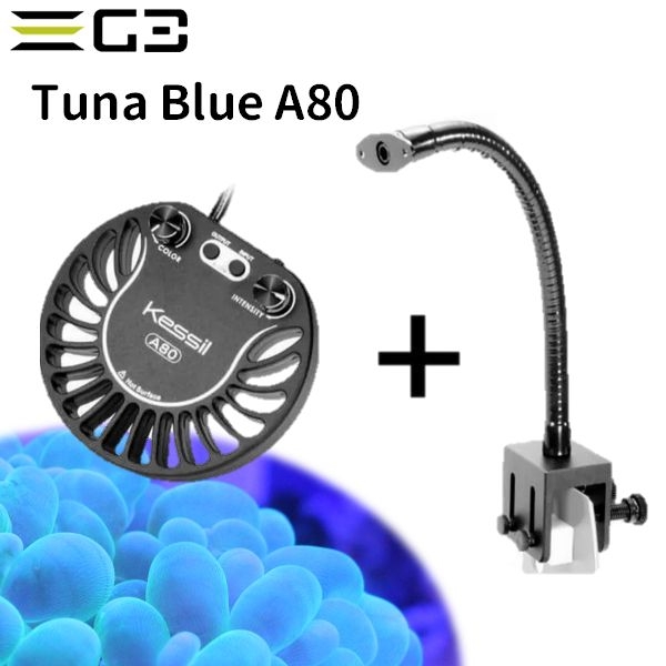 【取り寄せ】kessil A80 TunaBlue + ミニグースネックセット