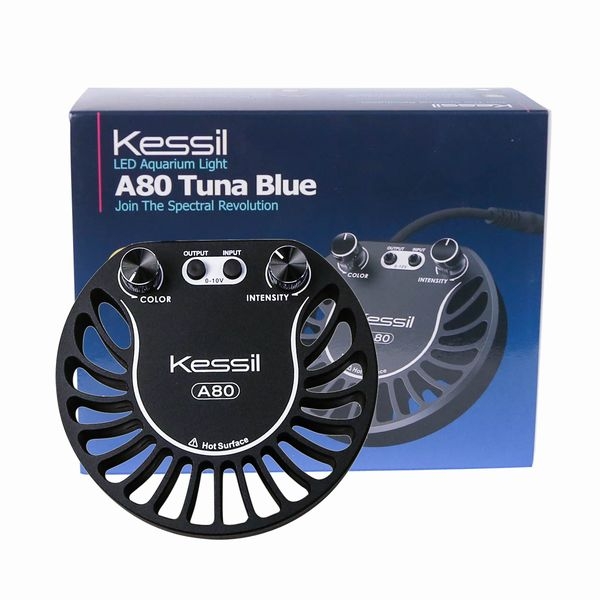 【取り寄せ】kessil A80 TunaBlue + ミニグースネックセット