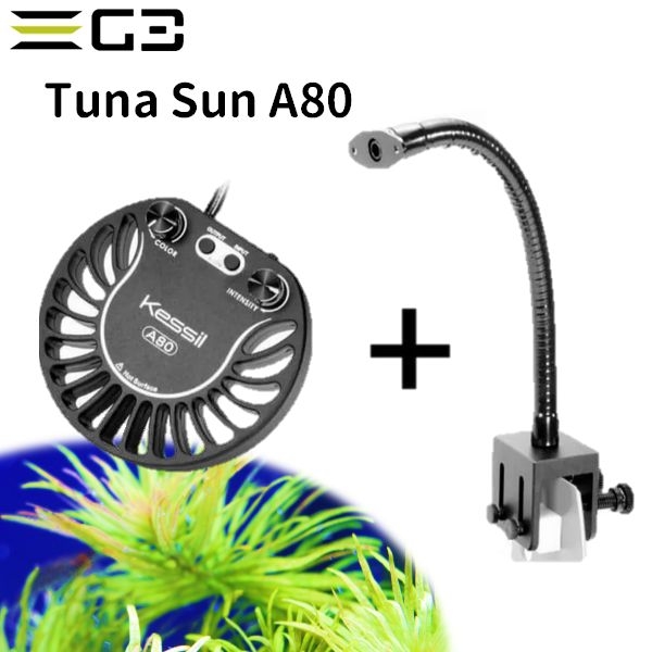【取り寄せ】kessil A80 TunaSun + ミニグースネックセット