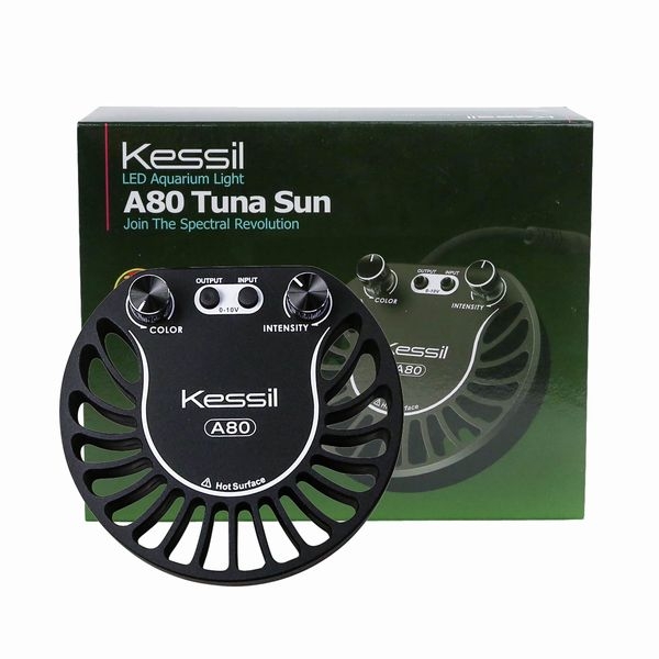 �ڼ��󤻡�kessil A80 TunaSun + �ߥ˥������ͥå����å�