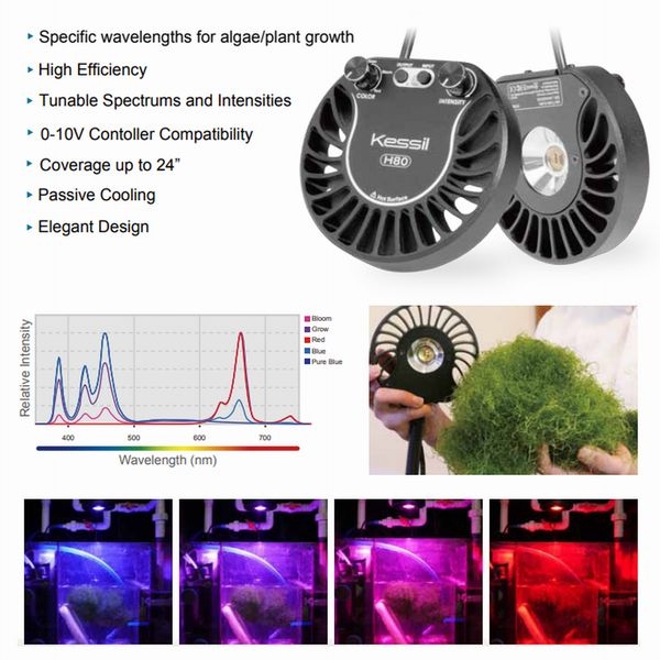 【取り寄せ】kessil A80 TunaFlora 植物育成・海水リフィジュウム用