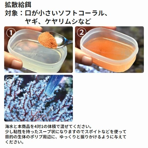 �������ե��å��ǥ饤�ȡ�35g  [ 042055254038]