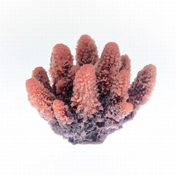 �ڼ��󤻡ۥߥ˥������������ TR-Mini6 Pink����8cm��