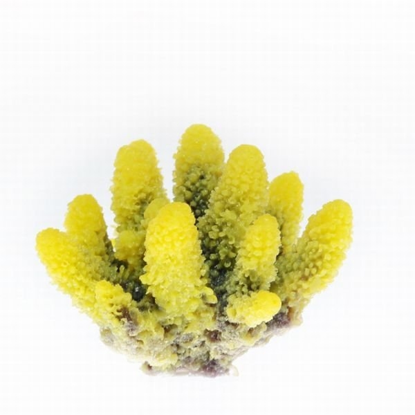 【取り寄せ】ミニサイズコーラル TR-Mini6 Yellow (約8cm)