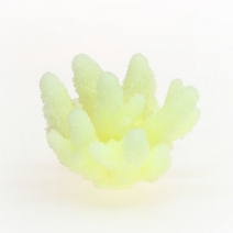 �ڼ��󤻡ۥߥ˥������������ TR-Mini6��White ����8cm��