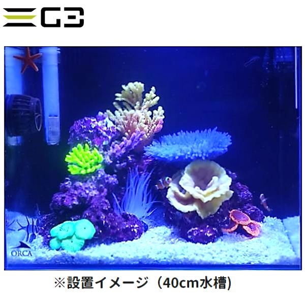 ڼ󤻡ۥߥ˥ TR-Mini8Green 11cm
