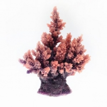 �ڼ��󤻡ۥߥ˥������������ TR-Mini8��Pink����11cm��