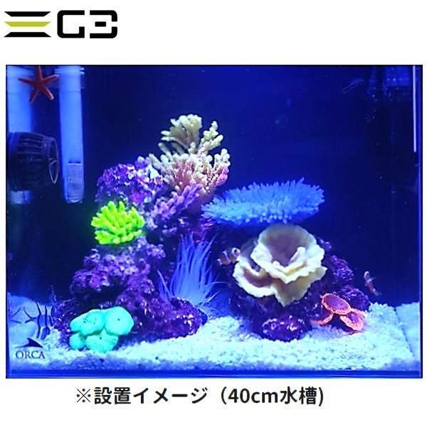 【取り寄せ】ミニサイズコーラル TR-Mini9 Yellow(約9cm)