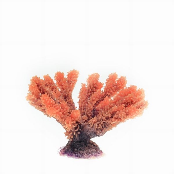 【取り寄せ】ミニサイズコーラル TR-Mini9 Red(約9cm)