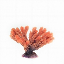 �ڼ��󤻡ۥߥ˥������������ TR-Mini9��Red����9cm��