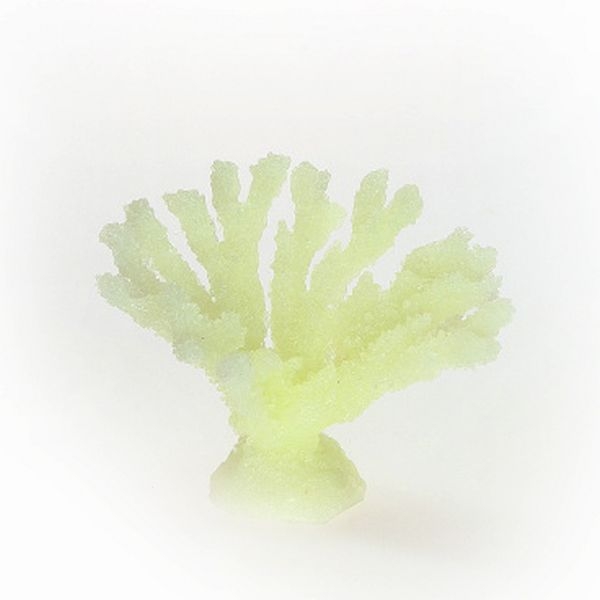 【取り寄せ】ミニサイズコーラル TR-Mini9 White (9cm)