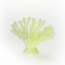 �ڼ��󤻡ۥߥ˥������������ TR-Mini9��White (9cm��