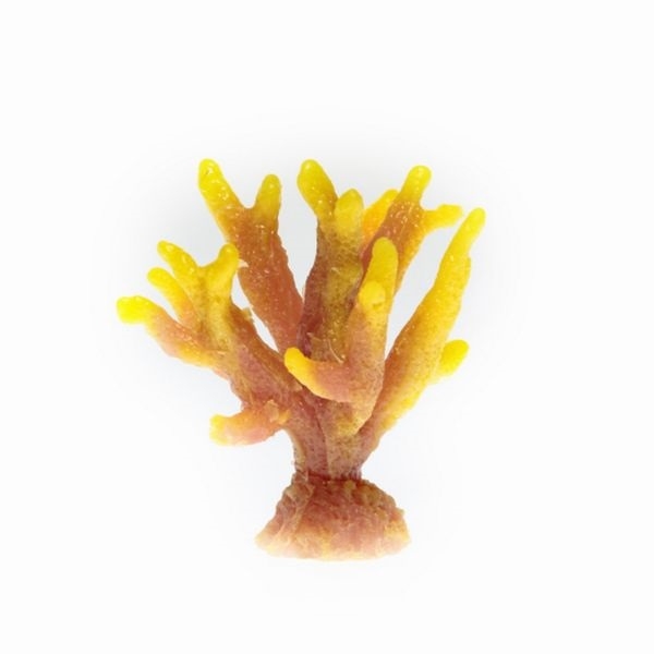【取り寄せ】ミニサイズコーラル TR-Mini10 Orange (8cm)