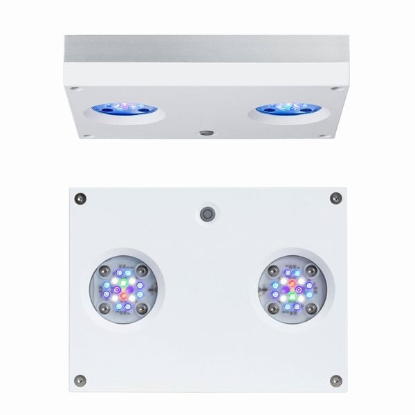 Aqua Illumination Hydra 32HD �ۥ磻�ȡ����ѥե쥭���֥륢���ॻ�å�