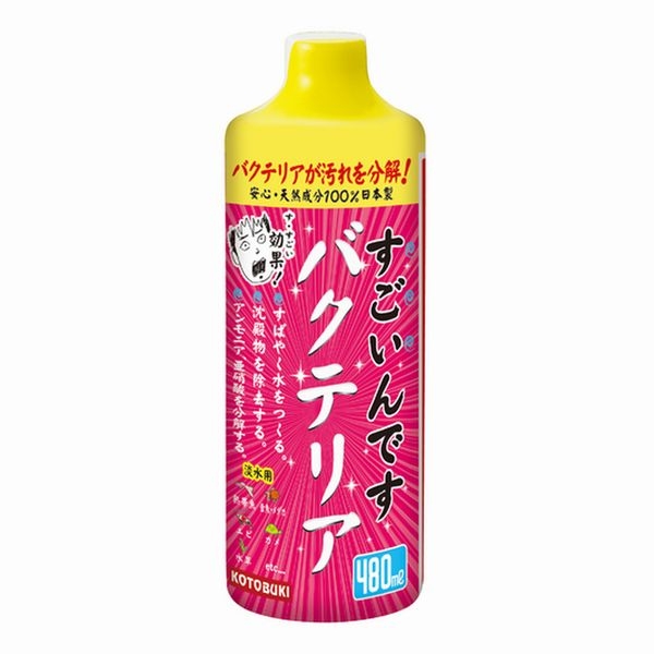 ���ȥ֥�����������Ǥ��Х��ƥꥢ480ml��ø���ѡ�[4972814584600]