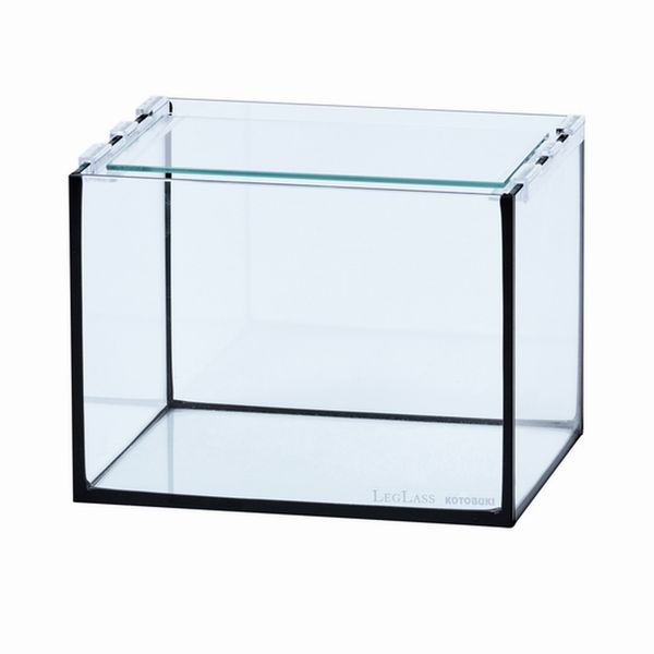 ���ȥ֥����쥰�饹�ե�å�F-20S/B-LOW��[4972814150324]