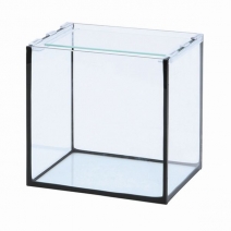 ���ȥ֥����쥰�饹�ե�å�F-20S/B��[4972814014602]