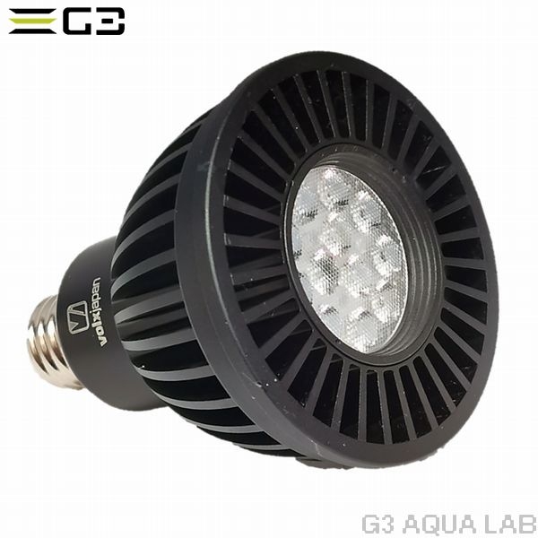 volxjapan GrassyLeDio RX121S Reef�ʥ֥�å���[45603815750]