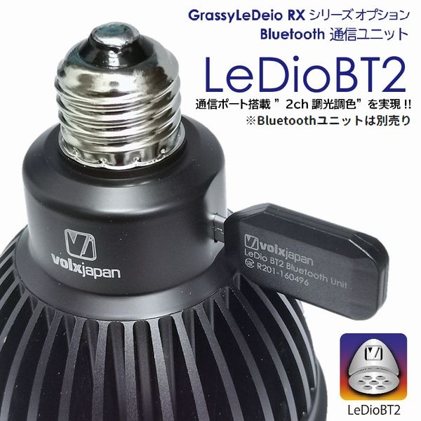 volxjapan GrassyLeDio RX121S Reef�ʥ֥�å���[45603815750]