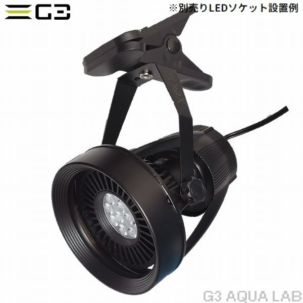 volxjapan GrassyLeDio RX121S Reef�ʥ֥�å���[45603815750]