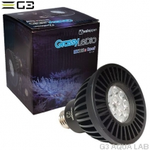 volxjapan GrassyLeDio RX121S Reef�ʥ֥�å���[45603815750]